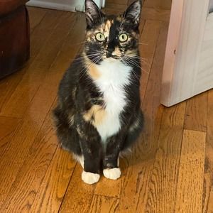 Meet your Posher, Todd